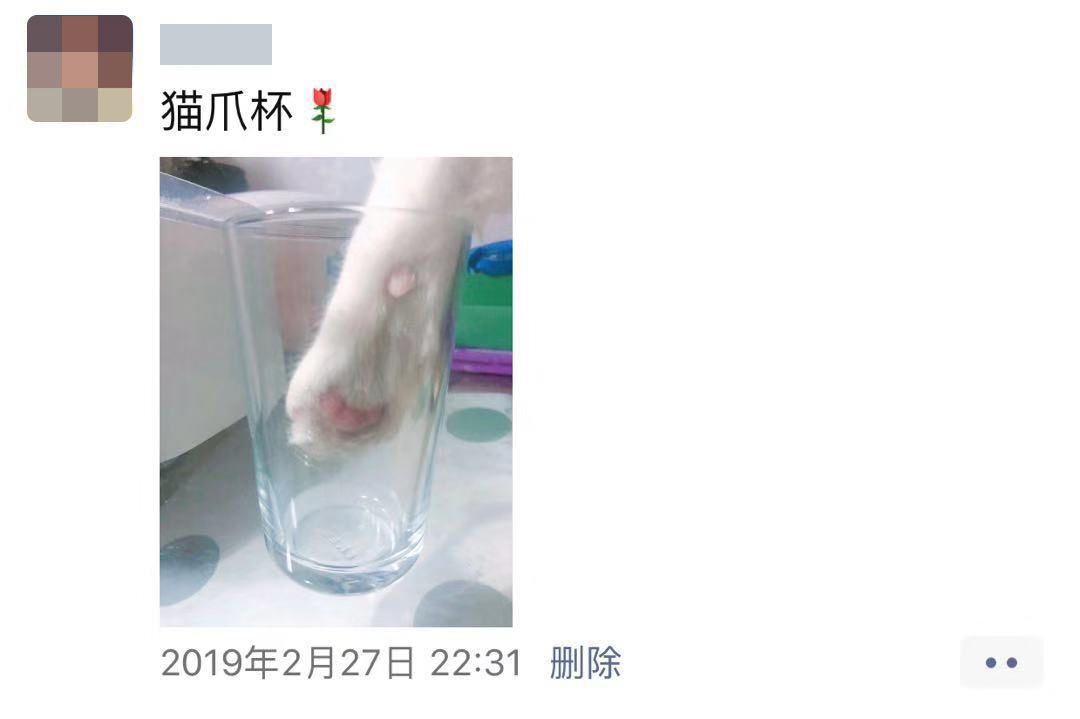 我跟中产的唯一联系，可能是养猫