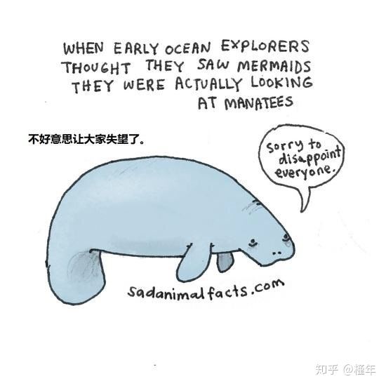 想象中不一样的动物冷知识,悲伤的动物视频