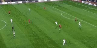 佩莱格里尼看托蒂进场,佩莱格里尼意大利