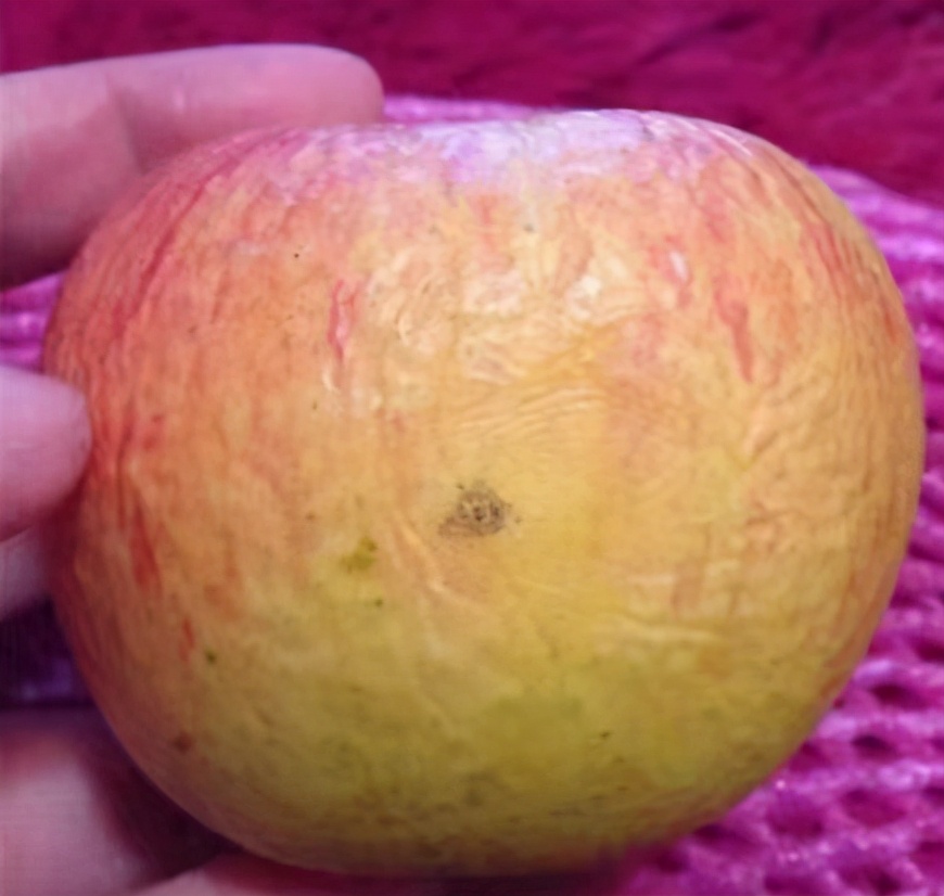 给孩子调理视力,给孩子推拿提高免疫力