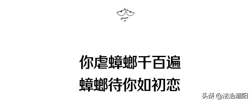 灭蟑螂最好的方法一招解决,蟑螂怎么灭杀最好方法