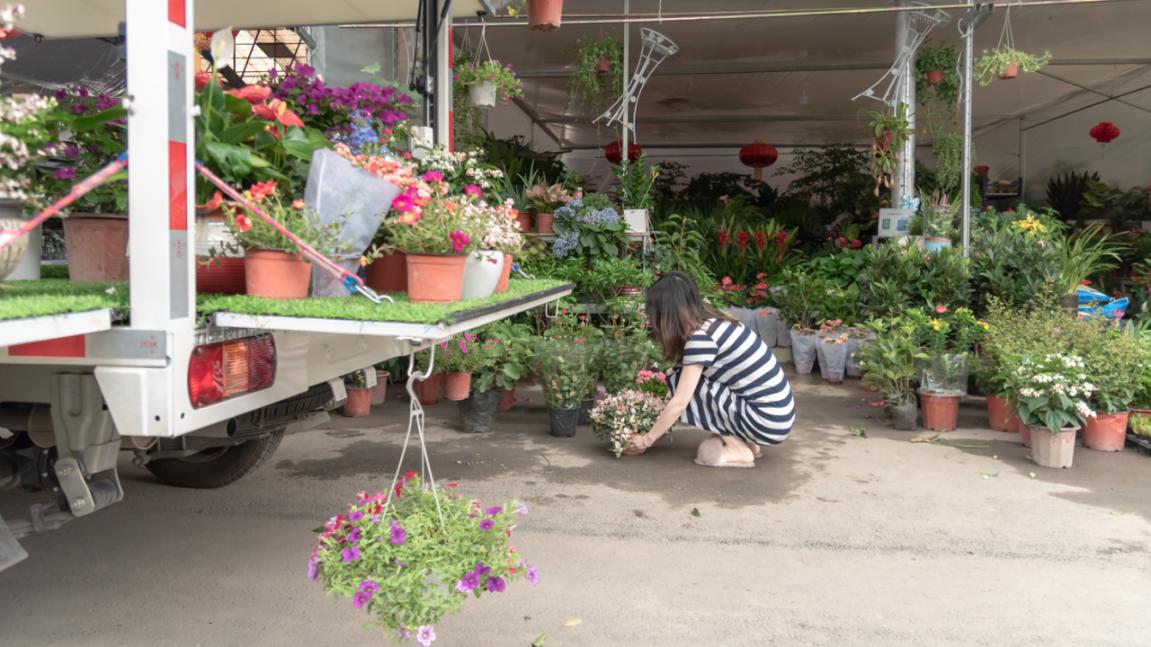 致富神器推荐,致富的小型摆摊神器