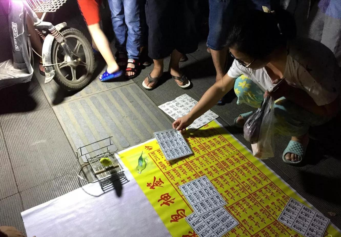 黄雀看相,识破江湖骗术