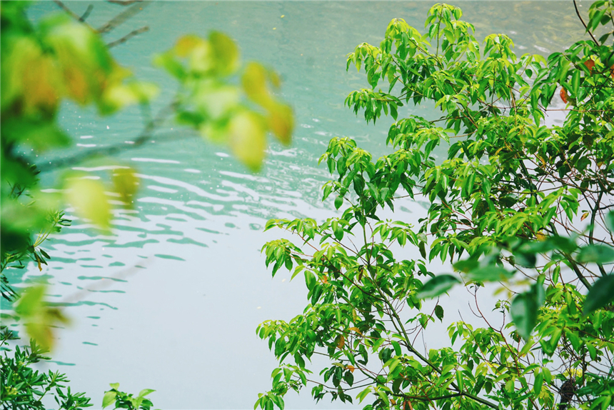 江南水乡旅游攻略四天三晚,温州旅行攻略四天三夜