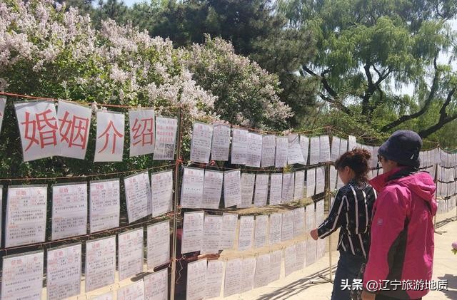 沈阳南湖公园老年相亲,最新沈阳南湖公园相亲