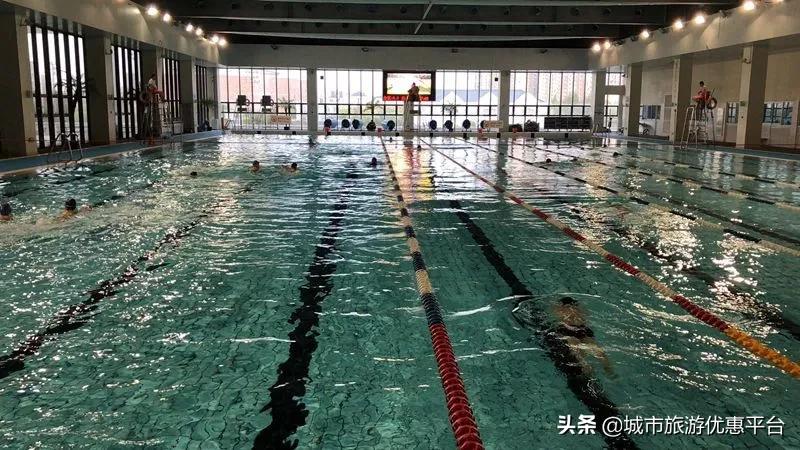 收藏游泳视频下载,冬季游泳大全