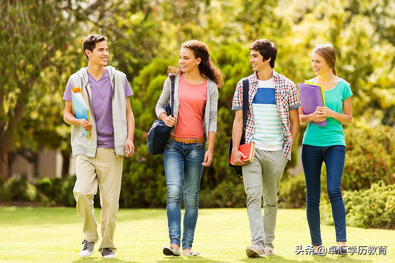 自考怎么查询专业,自考怎么查询需要考的科目