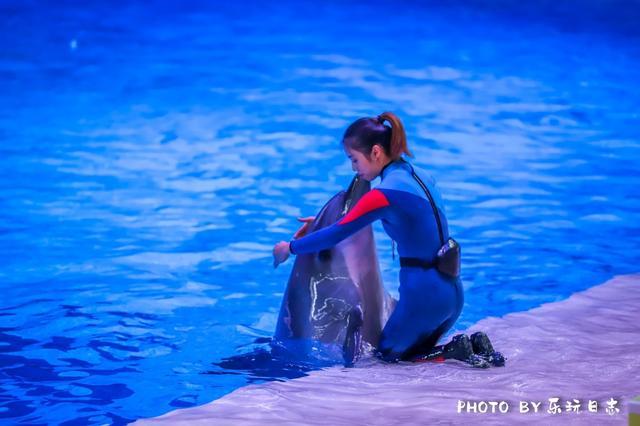 来珠海亲子必打卡景点，人工飘雪海洋动物表演，最适合周末亲子游