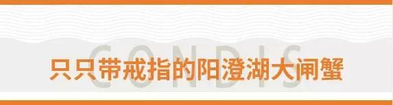 康得思自助餐厅蟹宴,金秋美味的大闸蟹盛宴