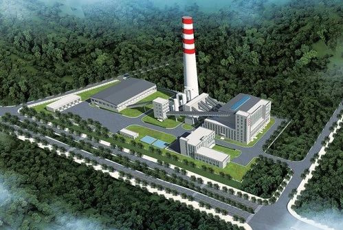 牛总创业经历视频,牛总投资