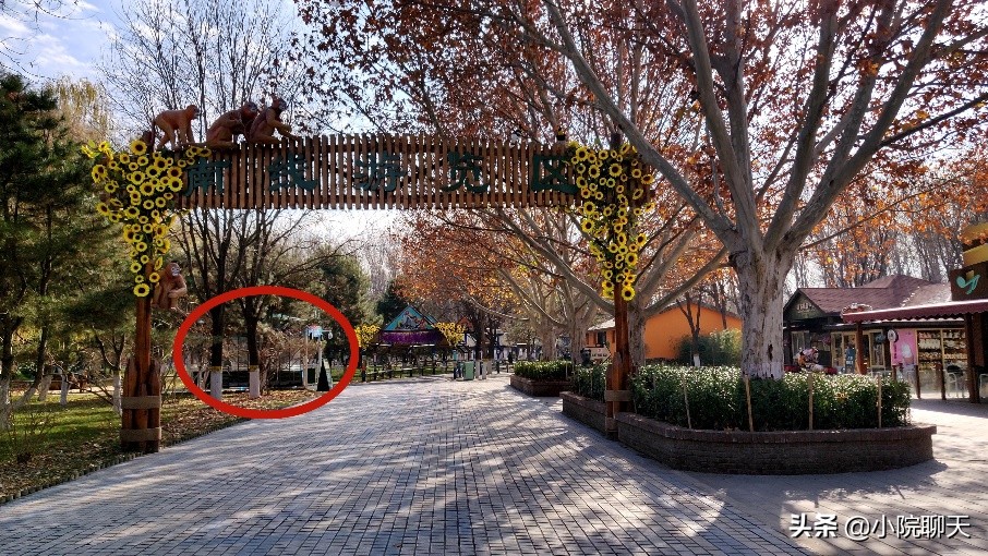 北京大兴野生动物园游玩推荐攻略,北京大兴野生动物园最佳游览路线