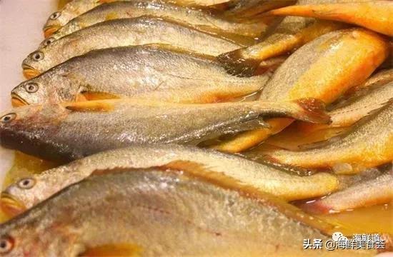 102种海鲜,营养丰富的海鲜有哪些品种
