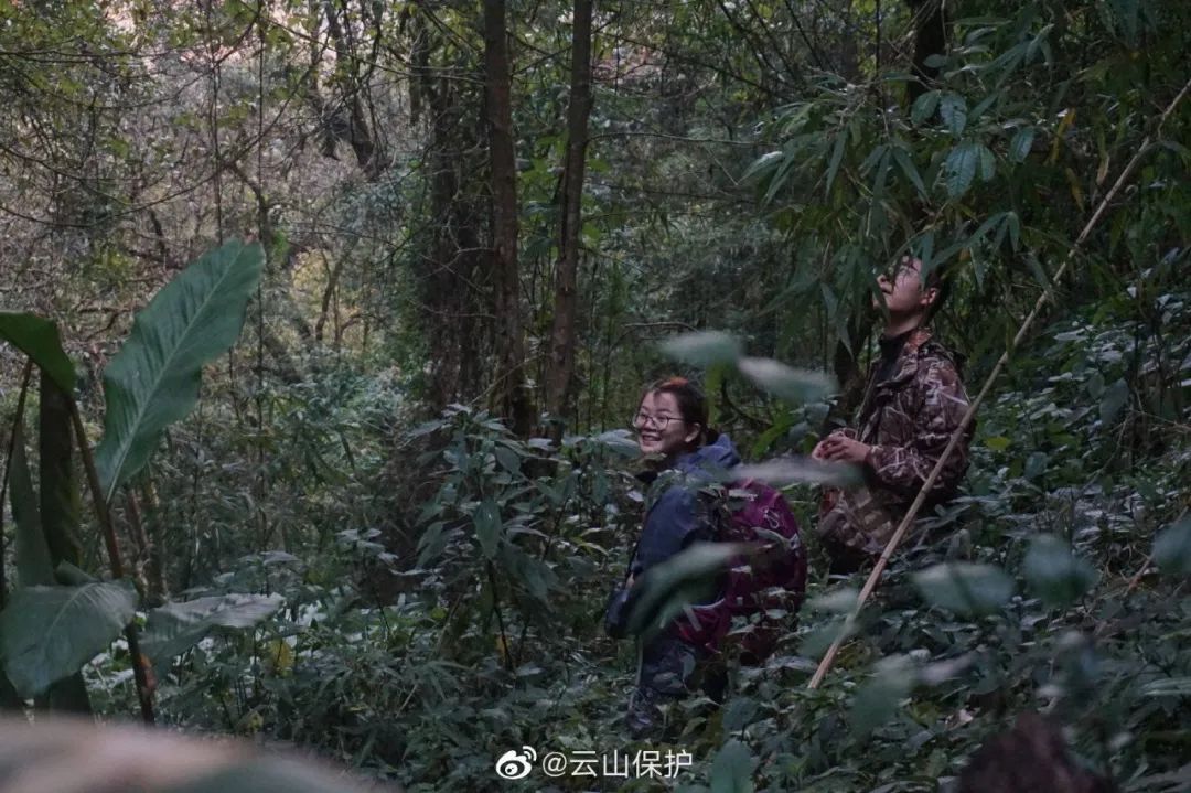 一群90后学霸，嚷嚷着要给它们找对象：自己单身不要紧