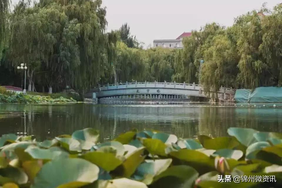 锦州渤海大学！全国最美大学之一！新入学的同学想知道的都在这里