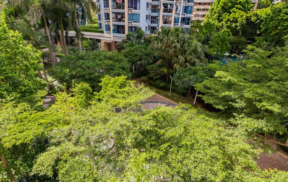 楼评深圳湾悦府一期,福田红树林生态公园新楼盘