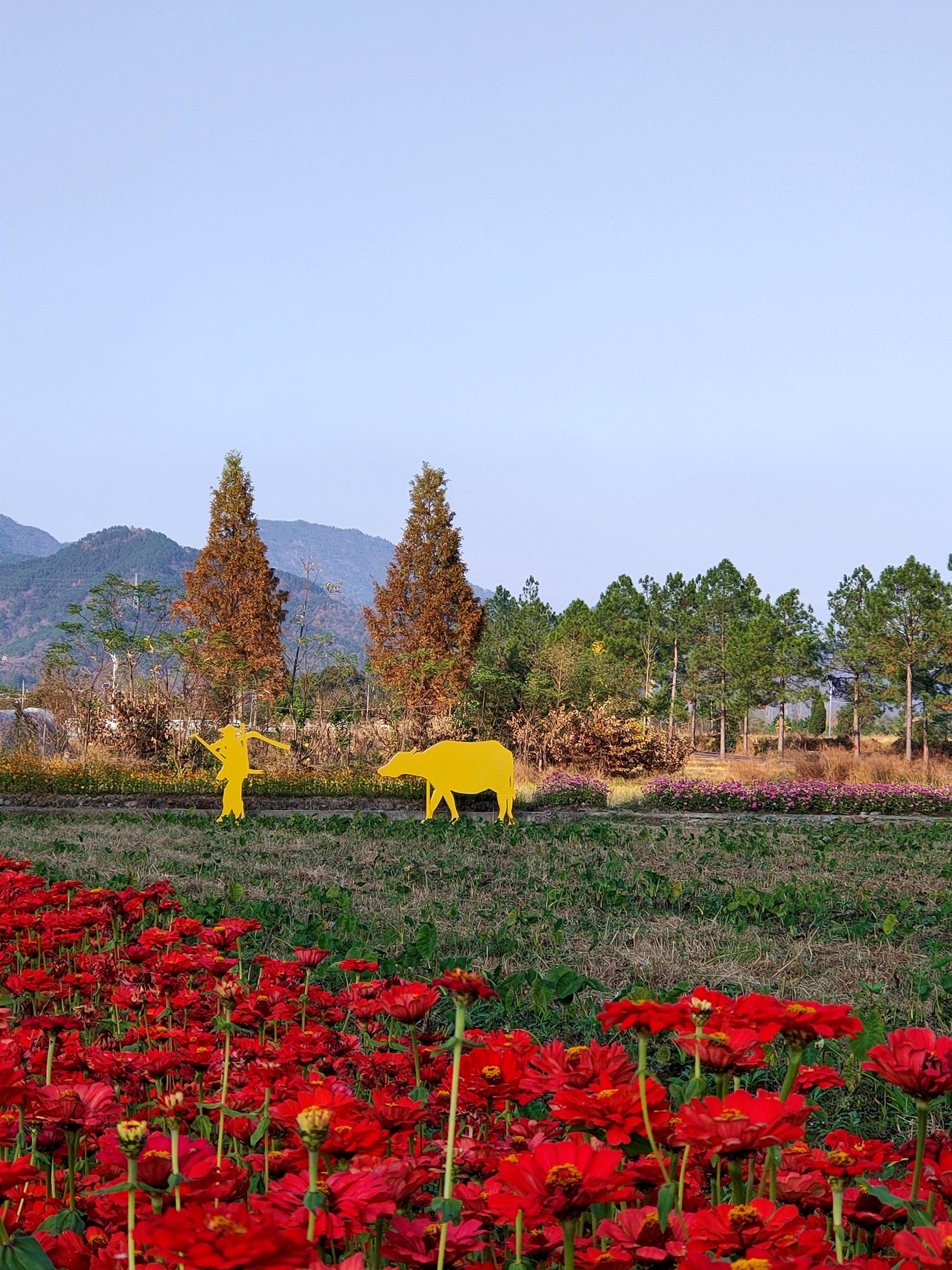 大雪前日访东阳市湖溪镇八里湾