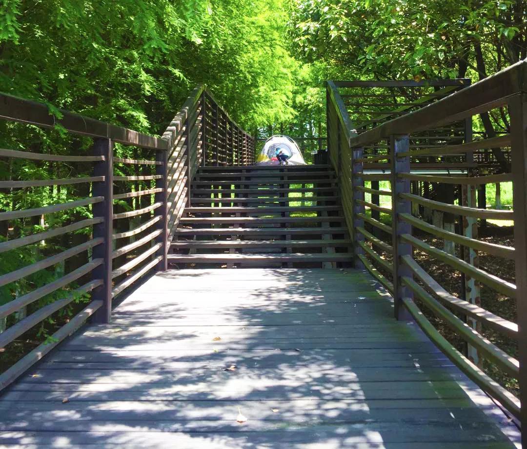 云南旅游小众旅行地,四川小众旅行地推荐