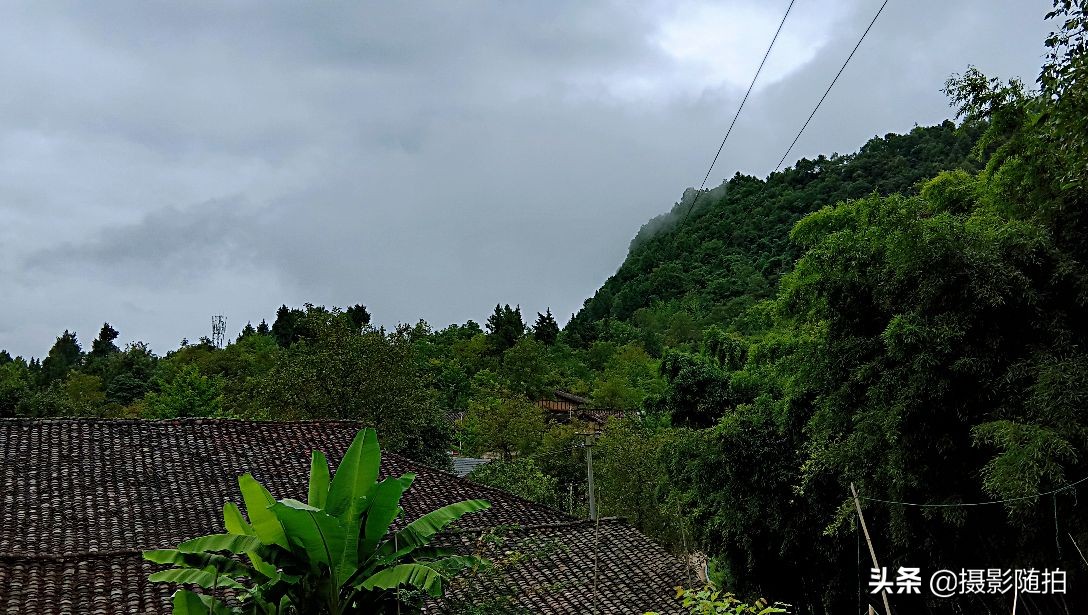 万源市竹峪镇东梨村,竹峪镇东梨村