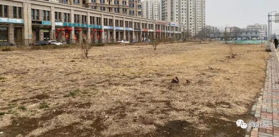 明珠公园二期,明珠公园改造