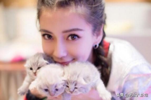 大东女鞋最低价格,大东女鞋低价处理