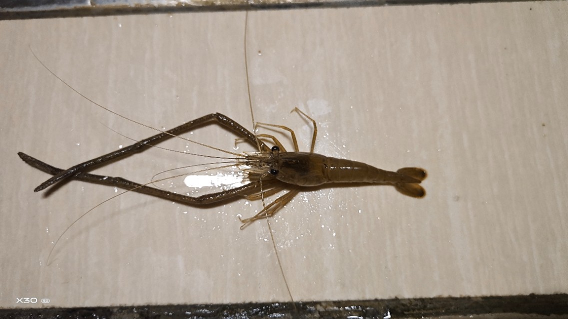 冬天钓鱼闹窝怎么解决,钓鱼躲避闹窝技巧