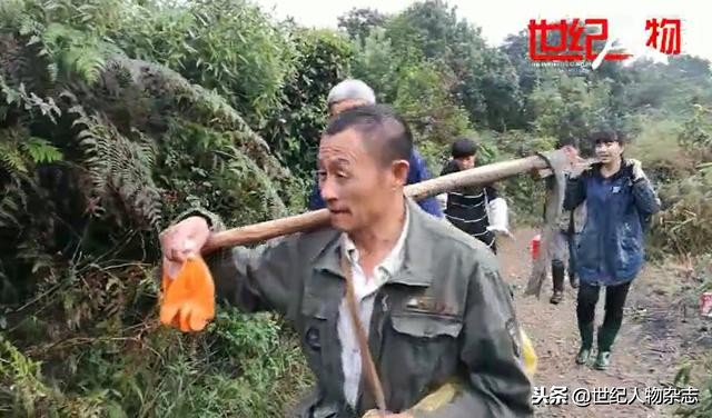 中草药市场乱象视频,中草药骗局揭秘最新