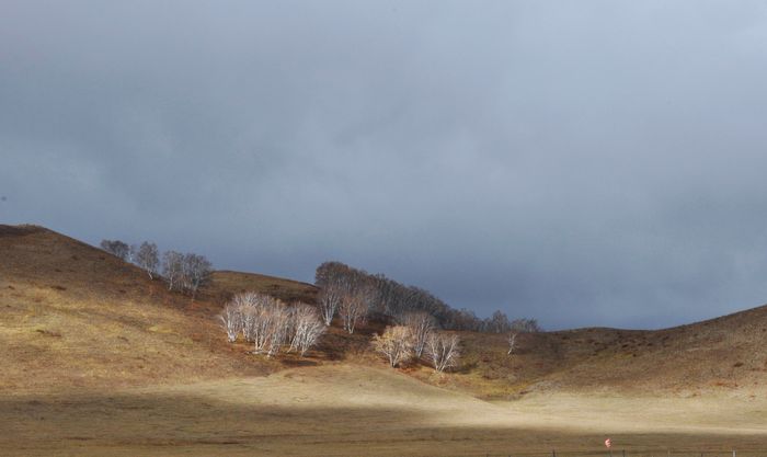 国庆节乌兰布统草原怎么样,乌兰布统草原之旅近期