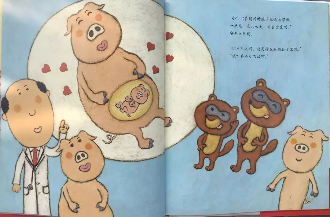 宝宝不怕医生的绘本,5-6岁儿童健康领域绘本推荐