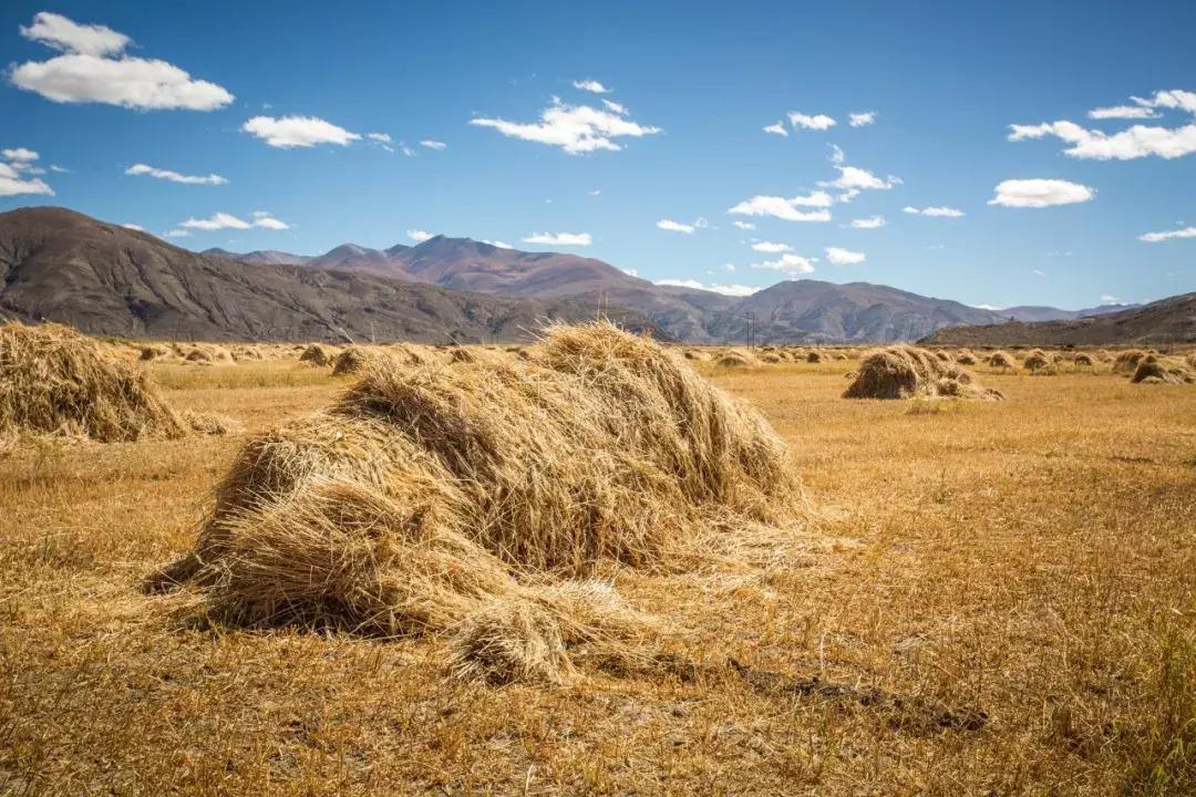 梦到上家公司倒闭赔钱给我,做梦梦到我破产