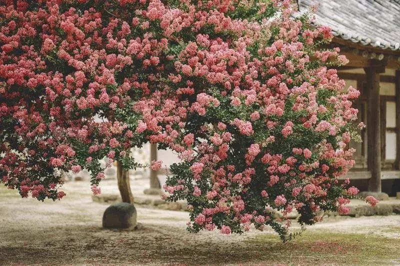 30而立人生访谈,30岁如何面对而立之年