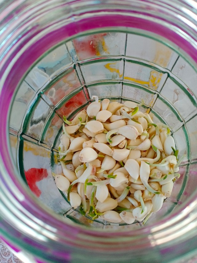 冠状病毒的解决方法,新冠病毒来了的正确措施是什么