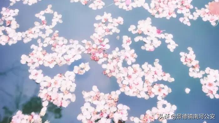 你是几月出生对应的古诗词,诗词盘点那些小时候背过的诗