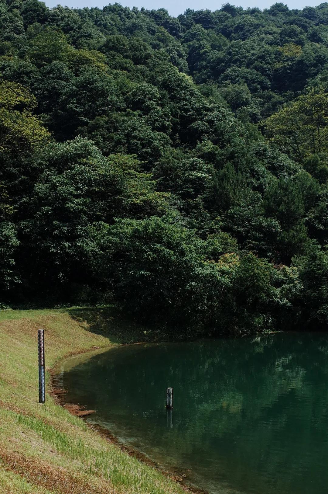 杭州西湖人少景美的地方,杭州人少景美免费景点