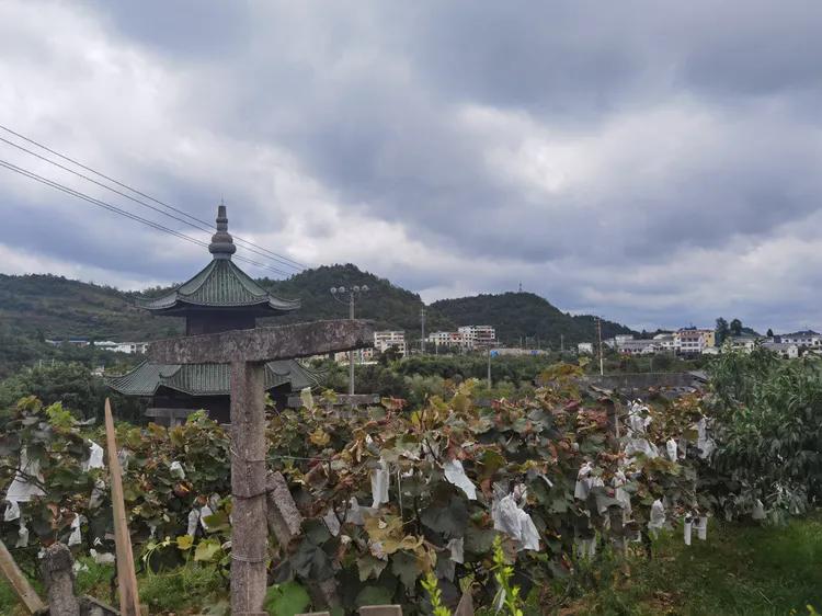 贵州蓬莱仙界旅游攻略,白云区蓬莱仙界景点介绍