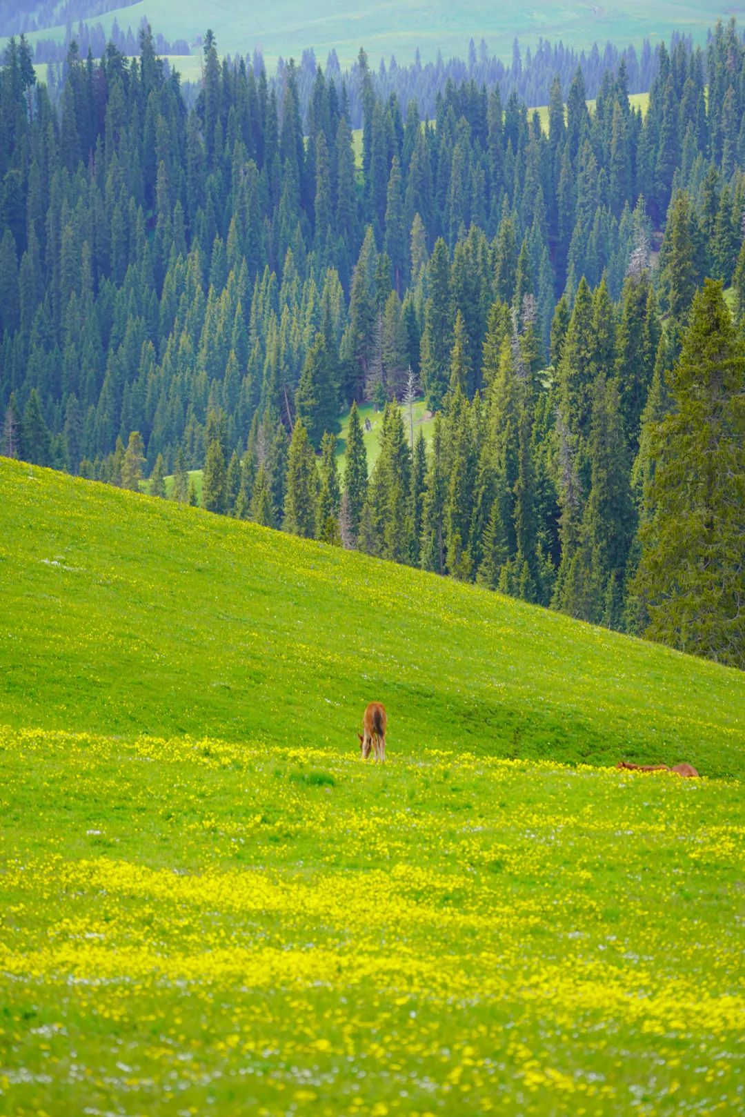 户外十大经典路线,全国最受欢迎的旅游线路