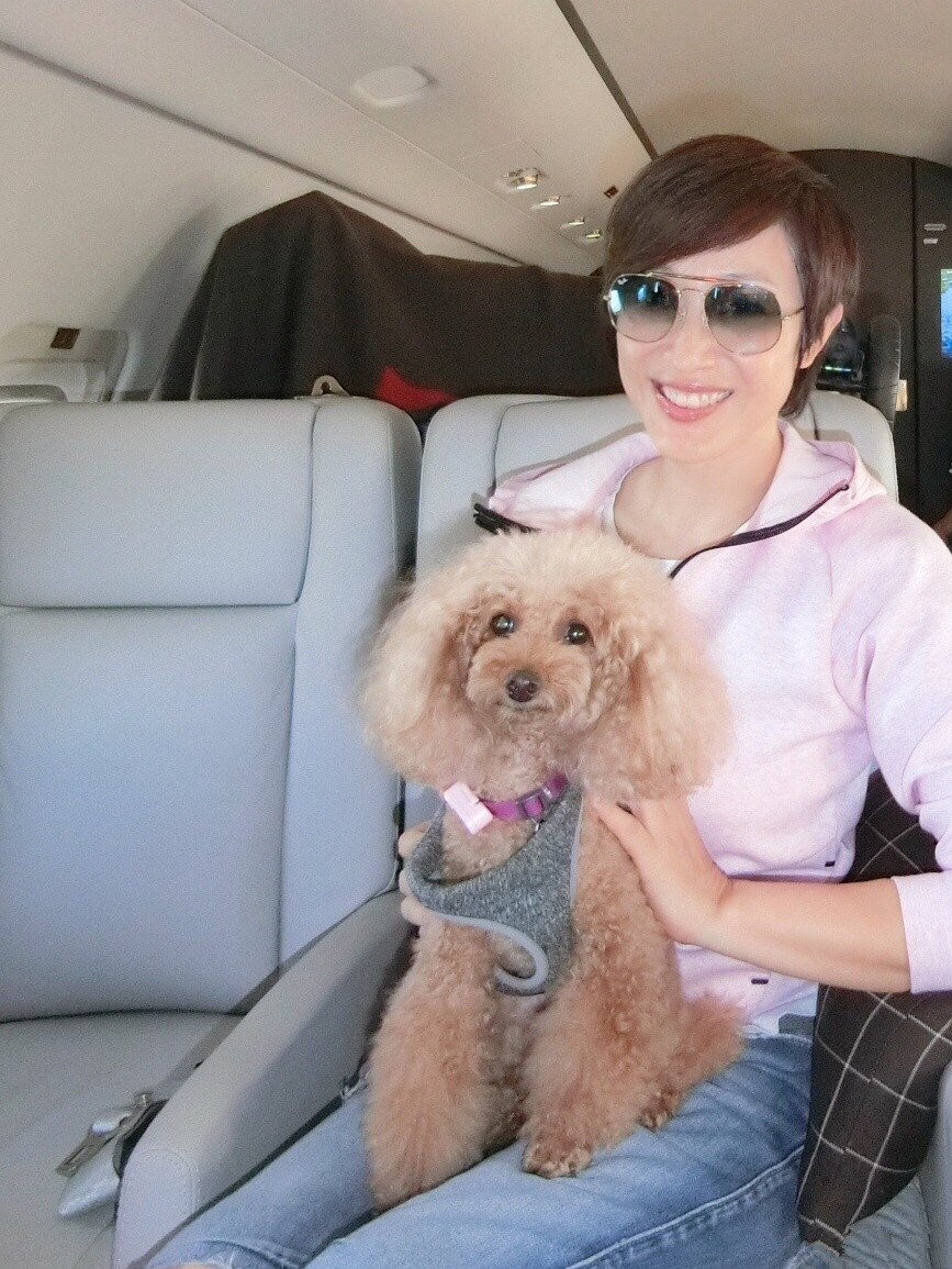 陈法蓉的短发既有帅气也有女人味,陈法蓉以前的短发是多少年前的