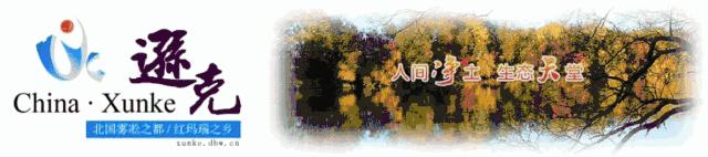 【权威发布】《关于逊克县城区内部分行业复业的通告》、《黑河市关于恢复生产生活秩序的通告》