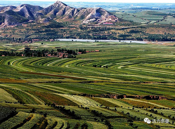 45万奈曼人的名片，太漂亮了！除了中华麦饭石你还知多少？