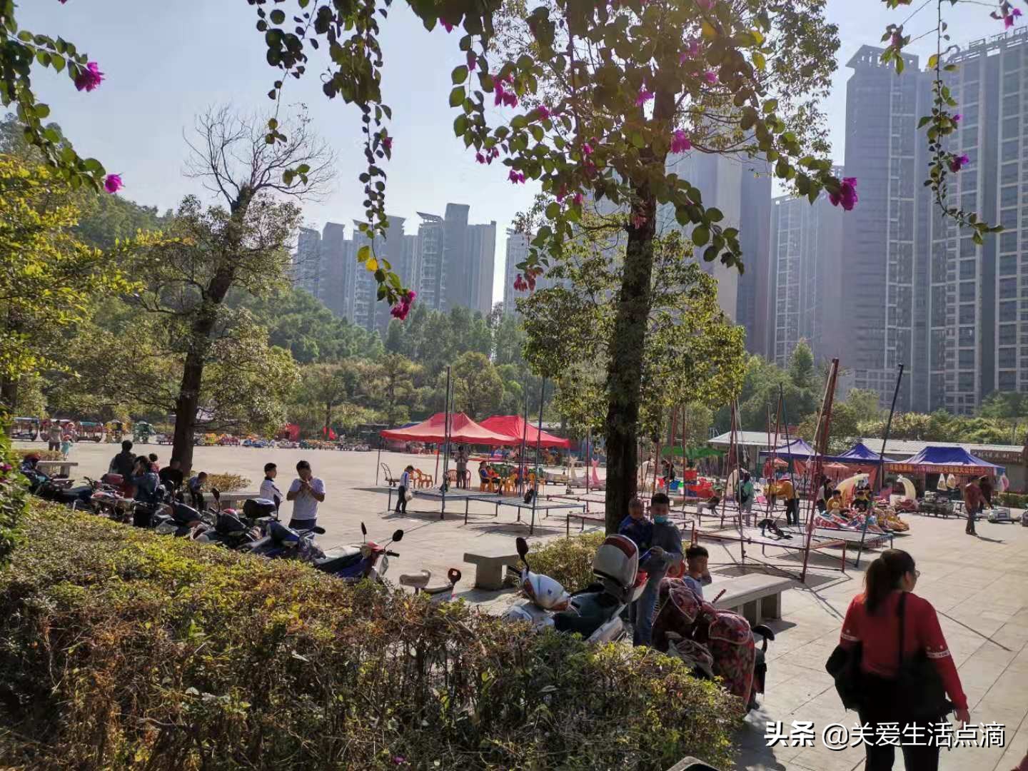 惠州市惠阳区亚公顶森林公园游记,惠阳亚公顶森林公园怎么走