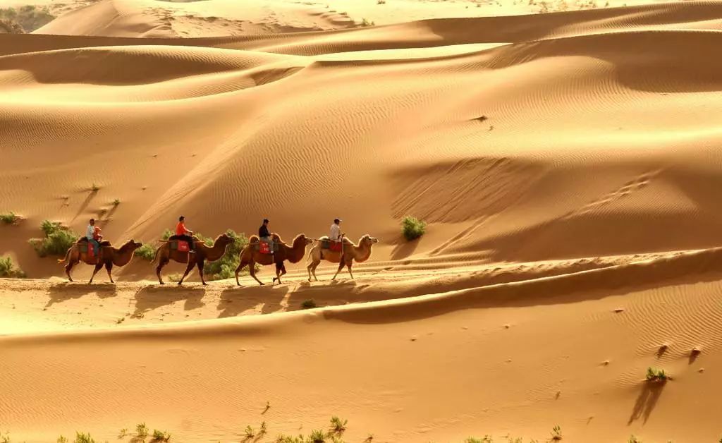 宁夏最低调城市,宁夏是一个非常美丽的地方