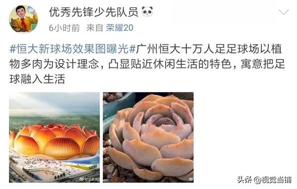 莲花建筑足球场,新建的莲花型足球场