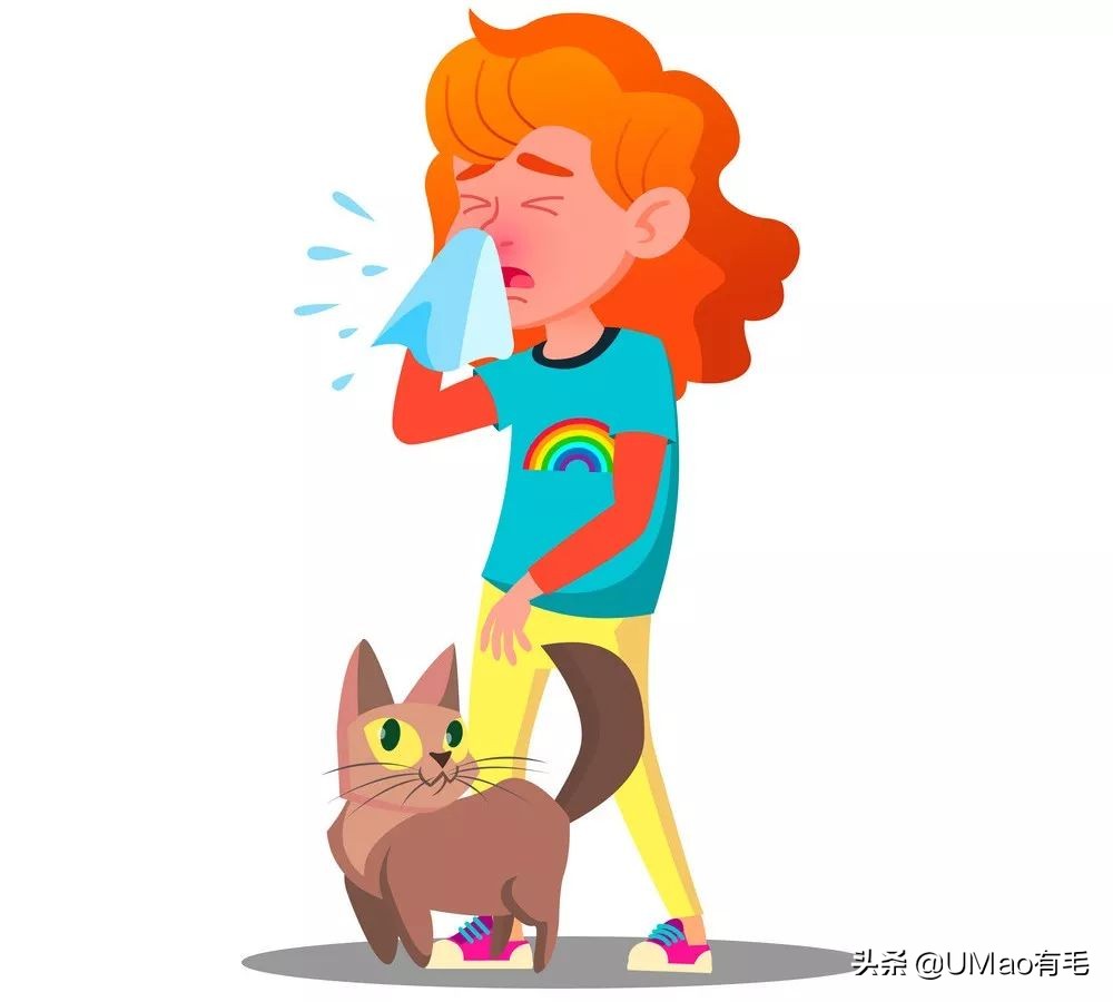 猫感冒会传染其他猫吗,猫感冒了有哪几种表现