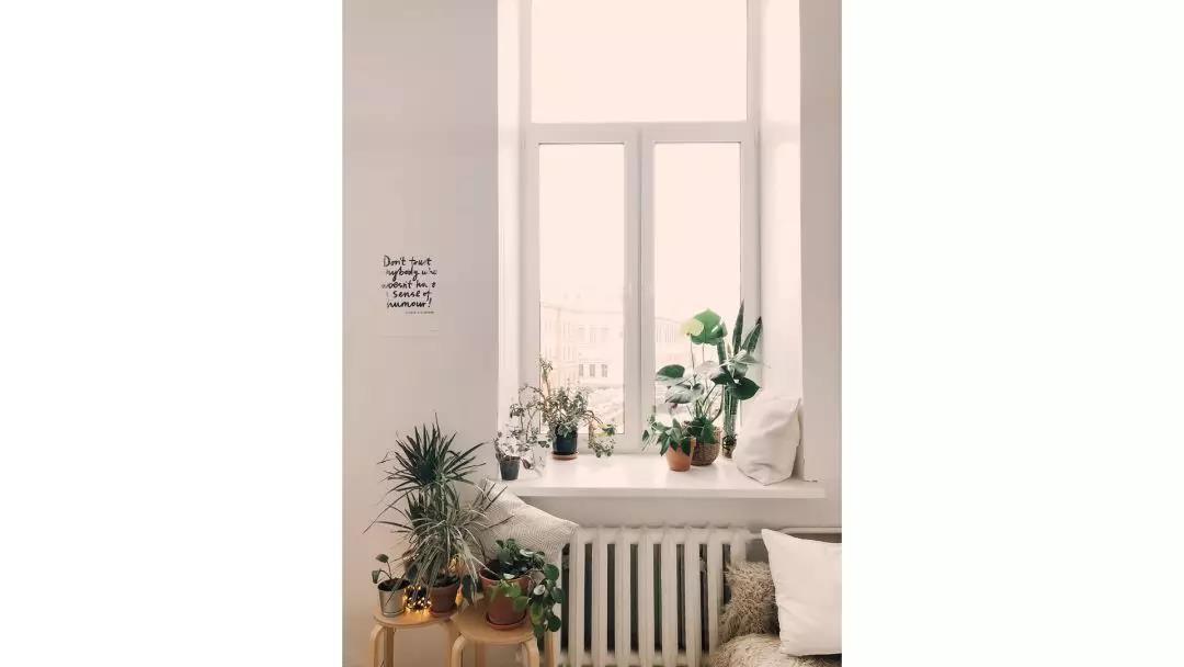 ppt两张竖版图片排版高级感,竖版图片怎么在ppt中呈现