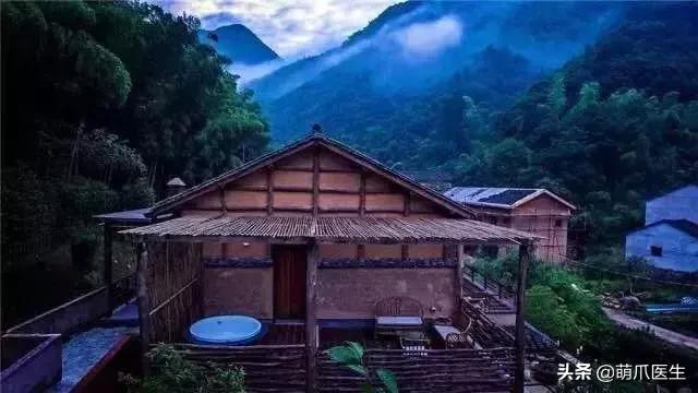 上海可带宠物入住的酒店推荐,怎么选宠物友好酒店房间