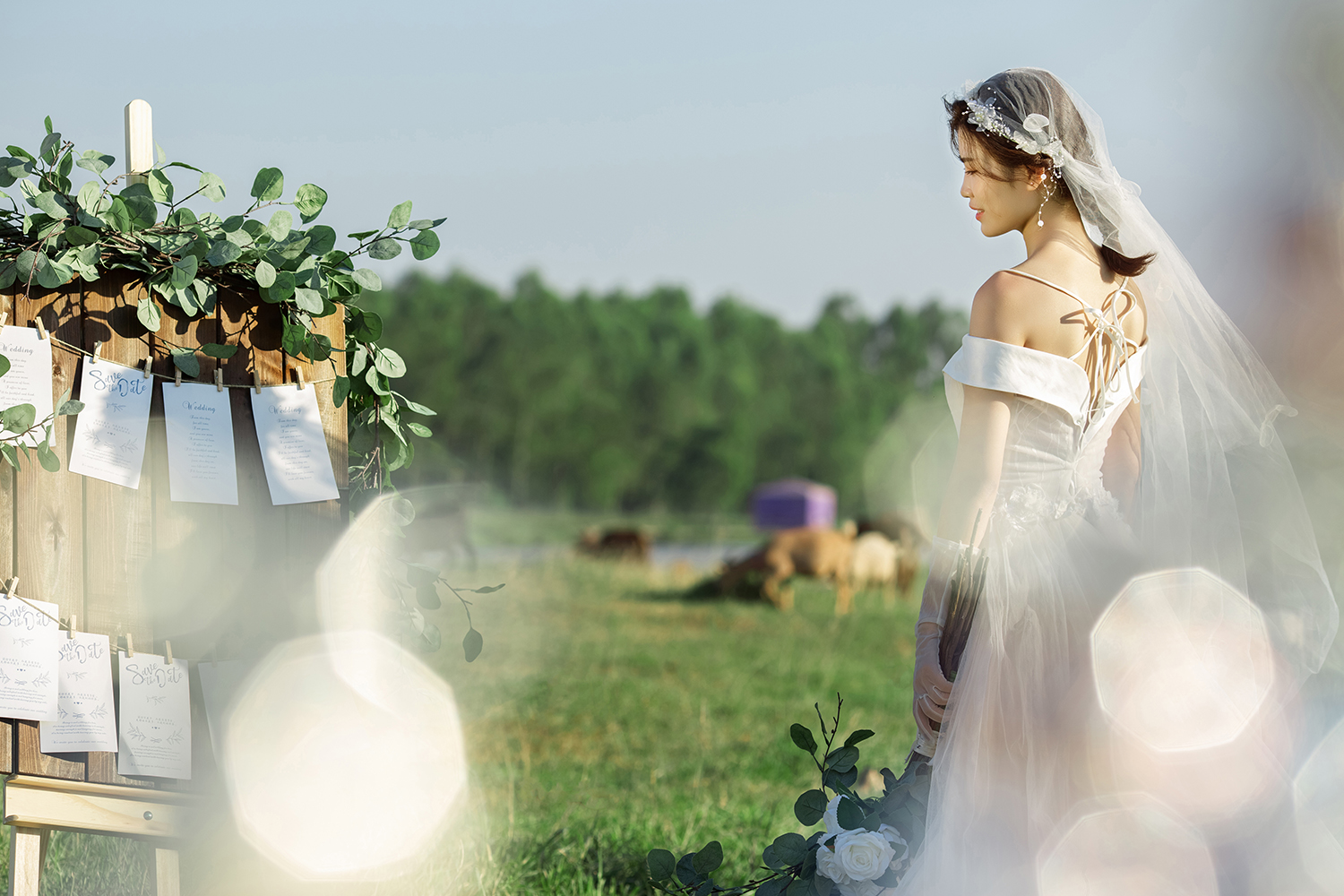 深圳罗湖婚纱摄影哪家好,深圳罗湖婚纱摄影哪个好