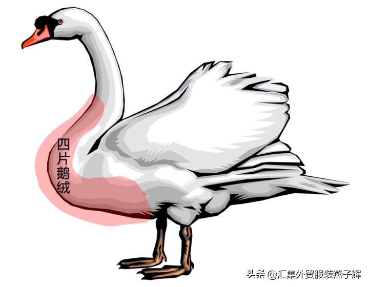 moncler羽绒服价格表2021男款,moncler羽绒服好在哪