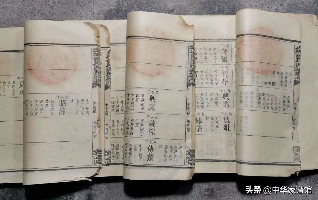 家谱如何制作,怎么做家谱简单又好看