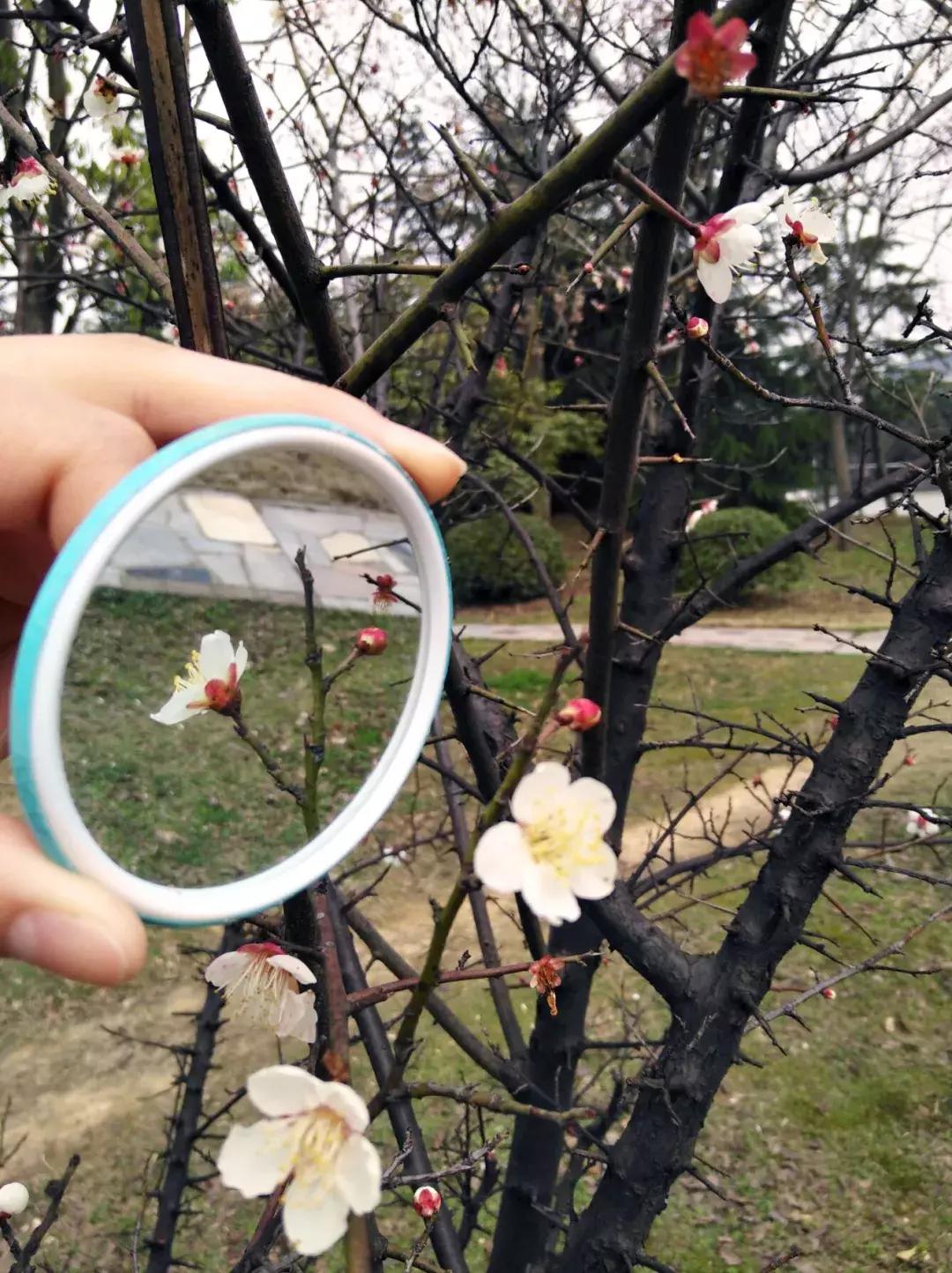 镜中的武工院，是最美？妙不可言？