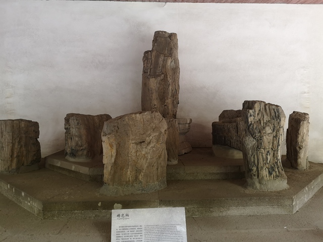 杭州岳庙,杭州岳庙所在地