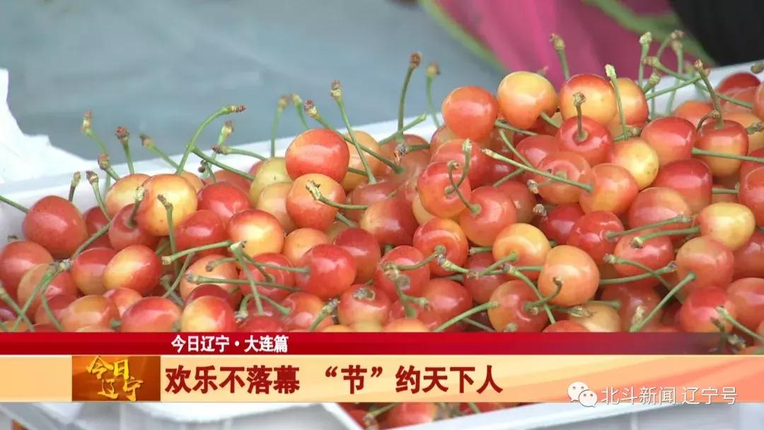 辽宁大连最近新闻联播,今日大连节目